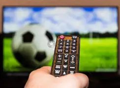 布萊頓夏季,補強成功,荷蘭,QY球友会体育,QiuYou,Sports,QY球友会体育网址,QY球友会app,QY球友会官网,QY球友会集团