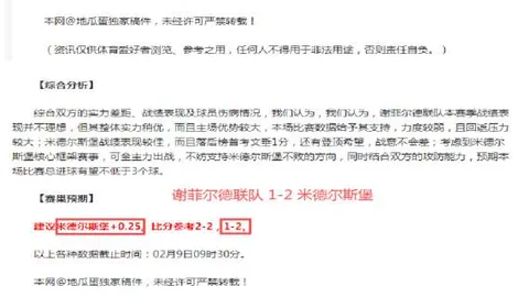 苏翊鸣：征程漫漫终登峰——央视新闻客户端特报